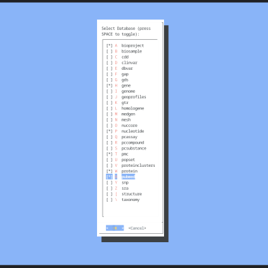 Configure Database